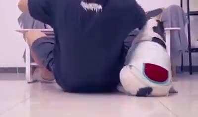 It's just a prank bro...