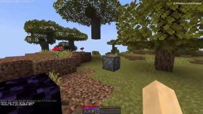 credit- MediocreAnimator (yt)