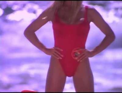 Pamela Anderson made Baywatch the biggest show on the planet based off of her tits and ass