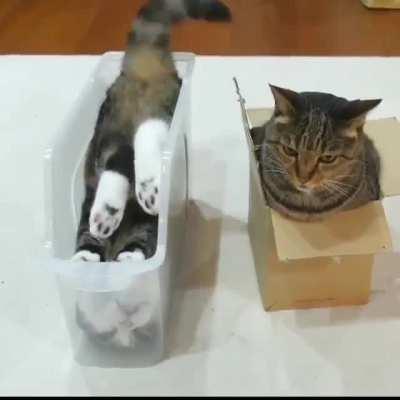 There. Now I'm comfortable. [repost as OP deleted]