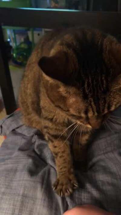 I think she wants something