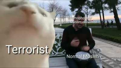 Why we still here, just to suffer