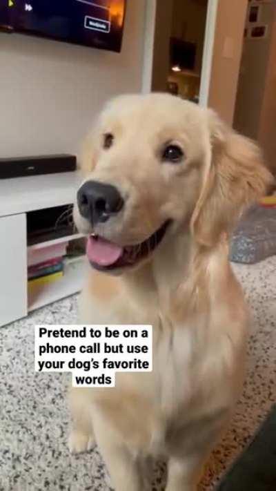 These are a few of my favorite things…