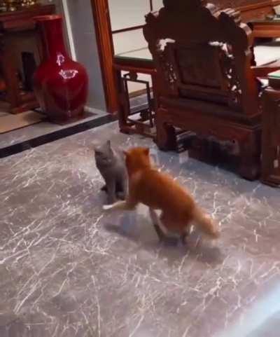 My goals are beyond your understanding