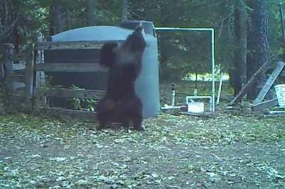 Naaaao as bolinhas dele