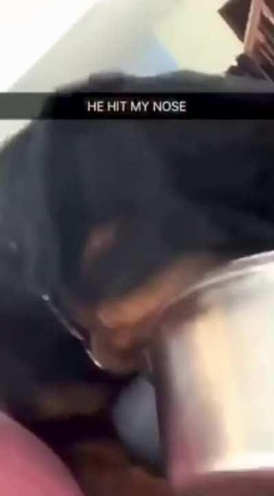 WHERE IS MY DINNER?!