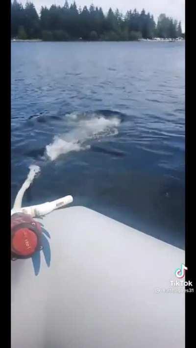 Just a dudes speedboat 🚤 