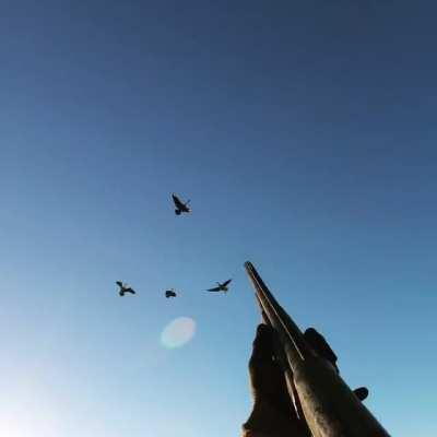 I always carry two guns now. 6 birds in 6 shots