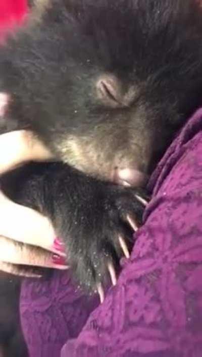 Adoption Papers Please!