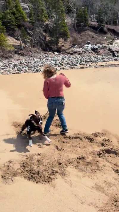 Bilbo’s first trip to the beach.