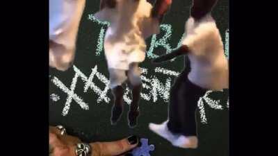 BLACK TINTS BLACK CARS POSTED IN THE BACK