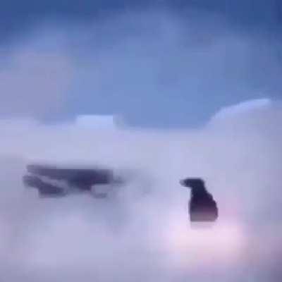 me whit my mana when i see a troodon: