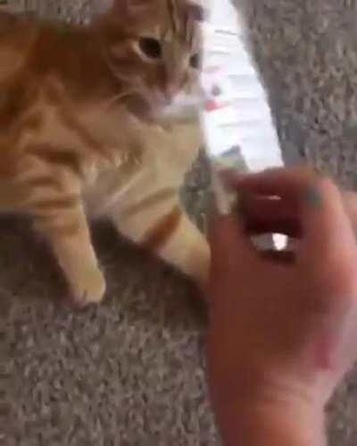 Sorry if its a repost.