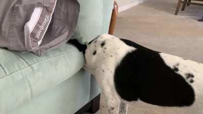 I honestly don&rsquo;t know what to say anymore