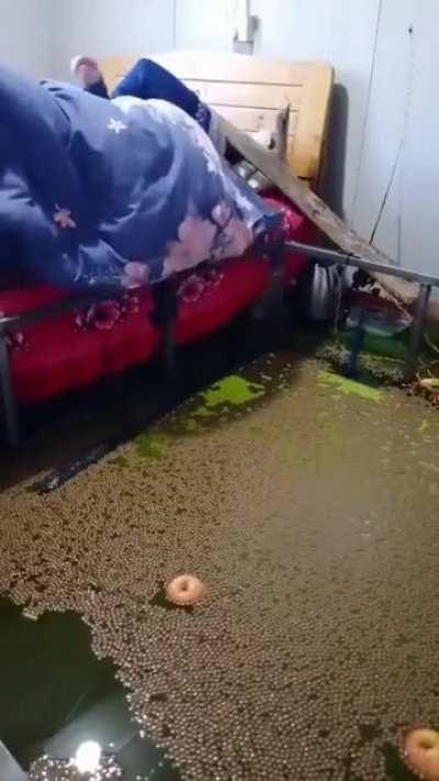 gonna be a dense night