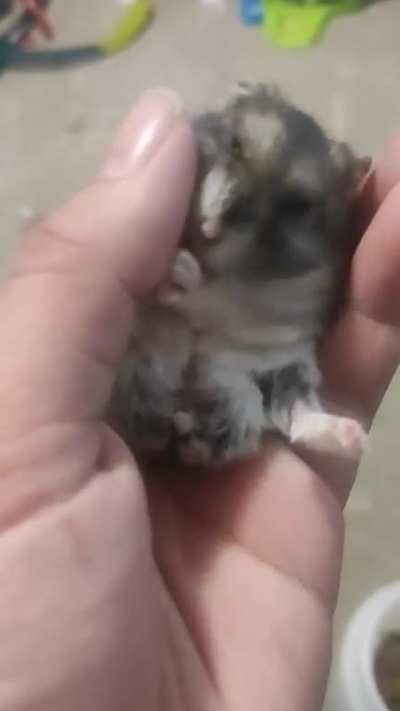 This means that she trusts me, right?