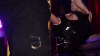 Kitten wants to play with her toy