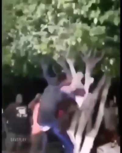 I believe that the meaning of life is something that we have invented because as humans with abstract reasoning we need to understand, assimilate...find a meaning or purpose to justify our existence. I call it that. Call it what you want, but what won't c