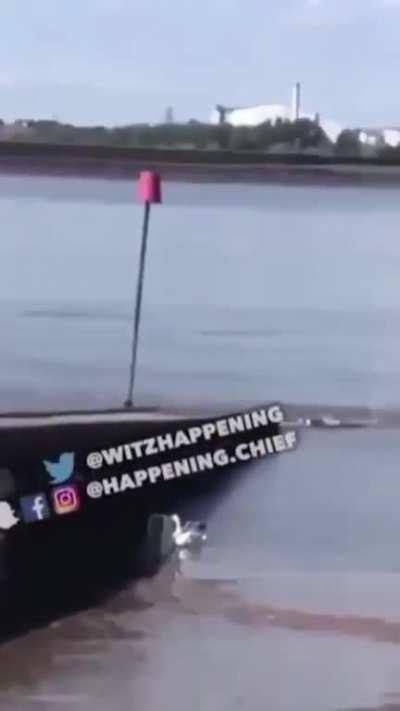 Best thing i've seen in a while