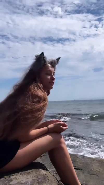 Kitty Kitty Kitty 😺