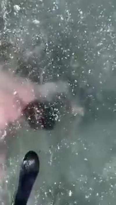 To swim to the other hole.