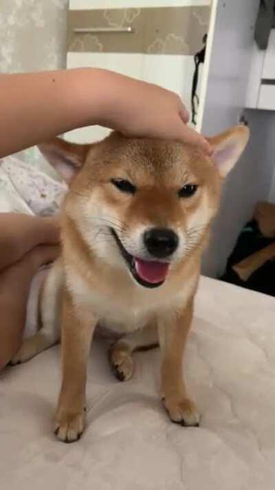 Get your eyes off the chart. Go to work.