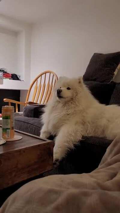 Our boy loves singing with us