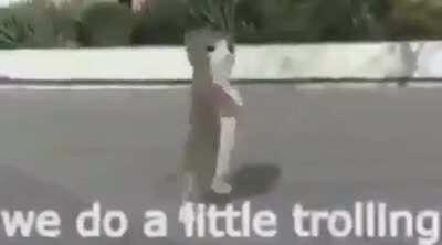 the st. johns after feeding mark to the motel survivors