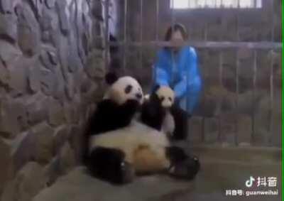 The greatest heist of all time