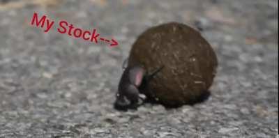 That feeling when you becoma a bagholder because of someones DD