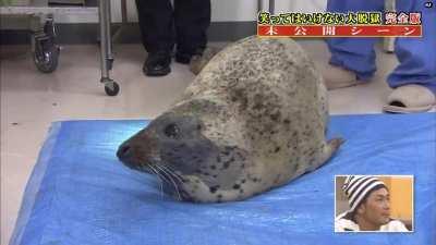 No-Laughing Prison Extra Footage - Jimmy Onishi aka 'The Super Doctor Onishi Hideaki'