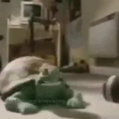 Tienes Pichula en la cabeza ??