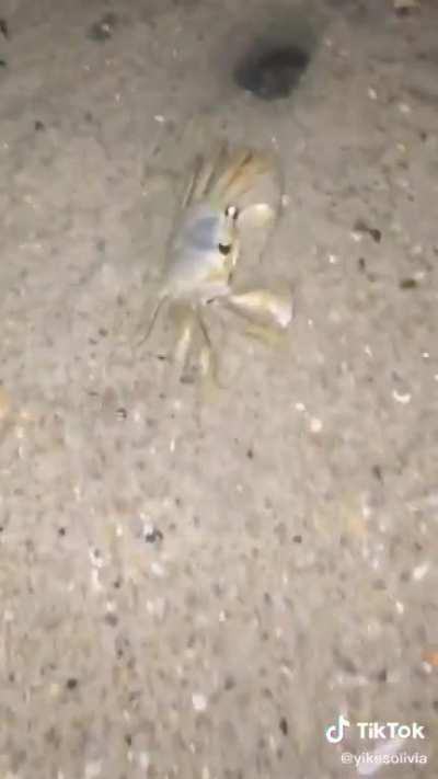 “Why does he have sand”