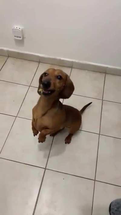 Not gonna trust humans ever again