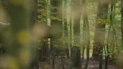 This scene perhaps the single best interpretation of Dinosaur hunting I've ever seen.