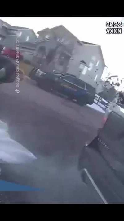 Dogs comes before car