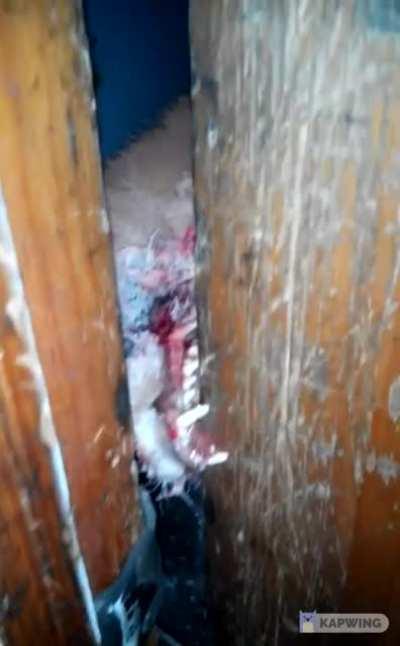 A rabid fox scratching a door