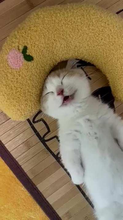 Good learning🤞😹