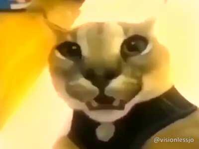 FUCKING FLOPPA FRIDAY