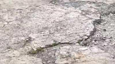 Besuch beim Oger 17.08.