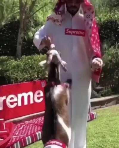 when ur first haul comes in 🔥🔥🔥