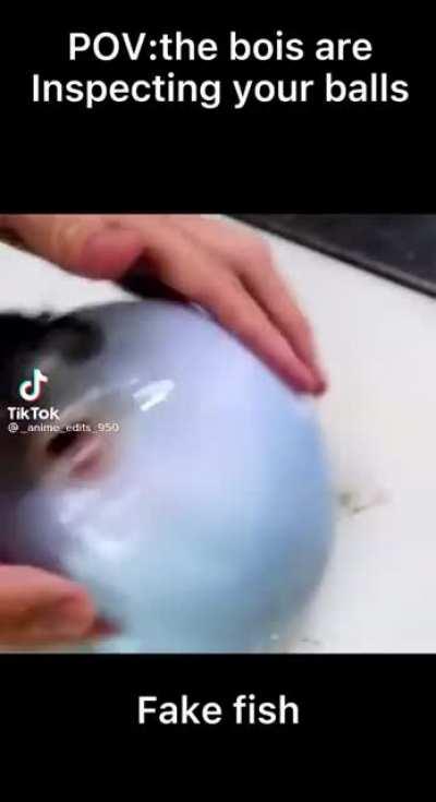 balls inspection with the bois