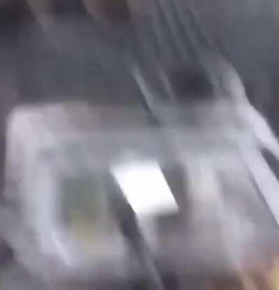 WCGW challenging a squirrel