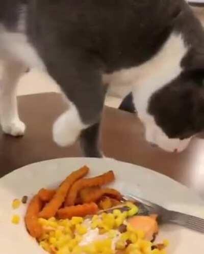 The audacity in this little food critic.