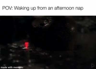 Don’t trust them afternoon naps (Heil Spez)