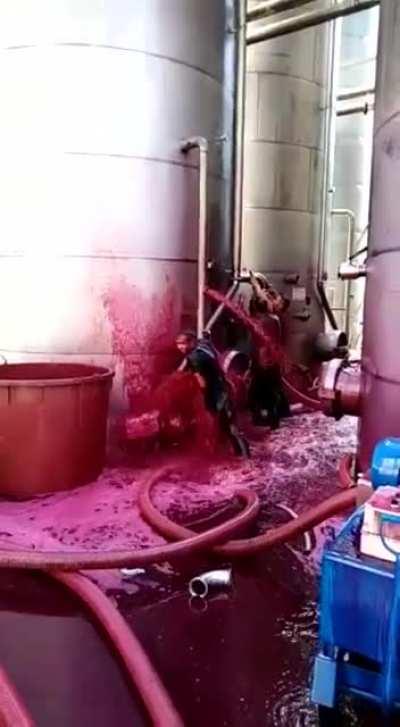 Red wine cat ruptured at Sicilian winery