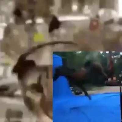 I forgot where I found this