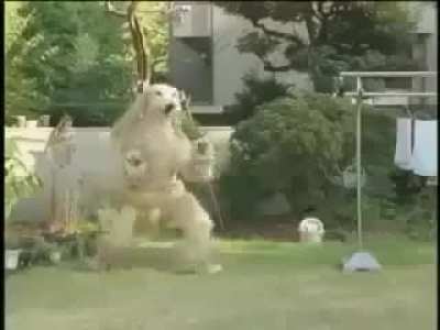 incarnations of satans creations of all that we dread