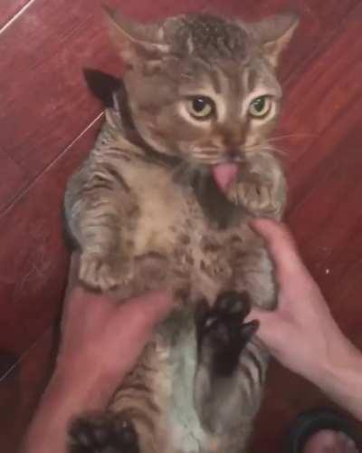 everyone relaxes in their own way)))