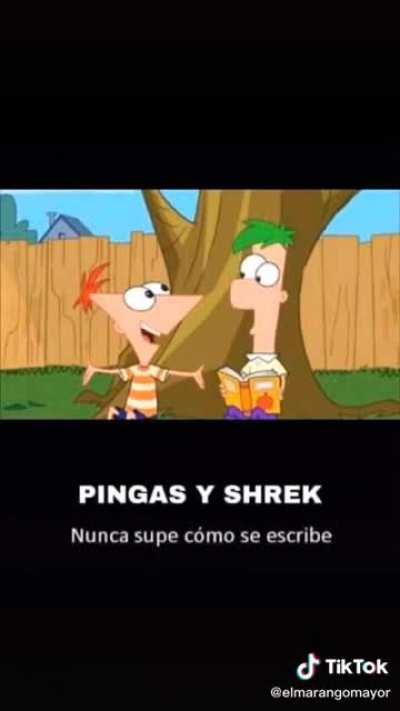 Nunca supe cómo se escribe